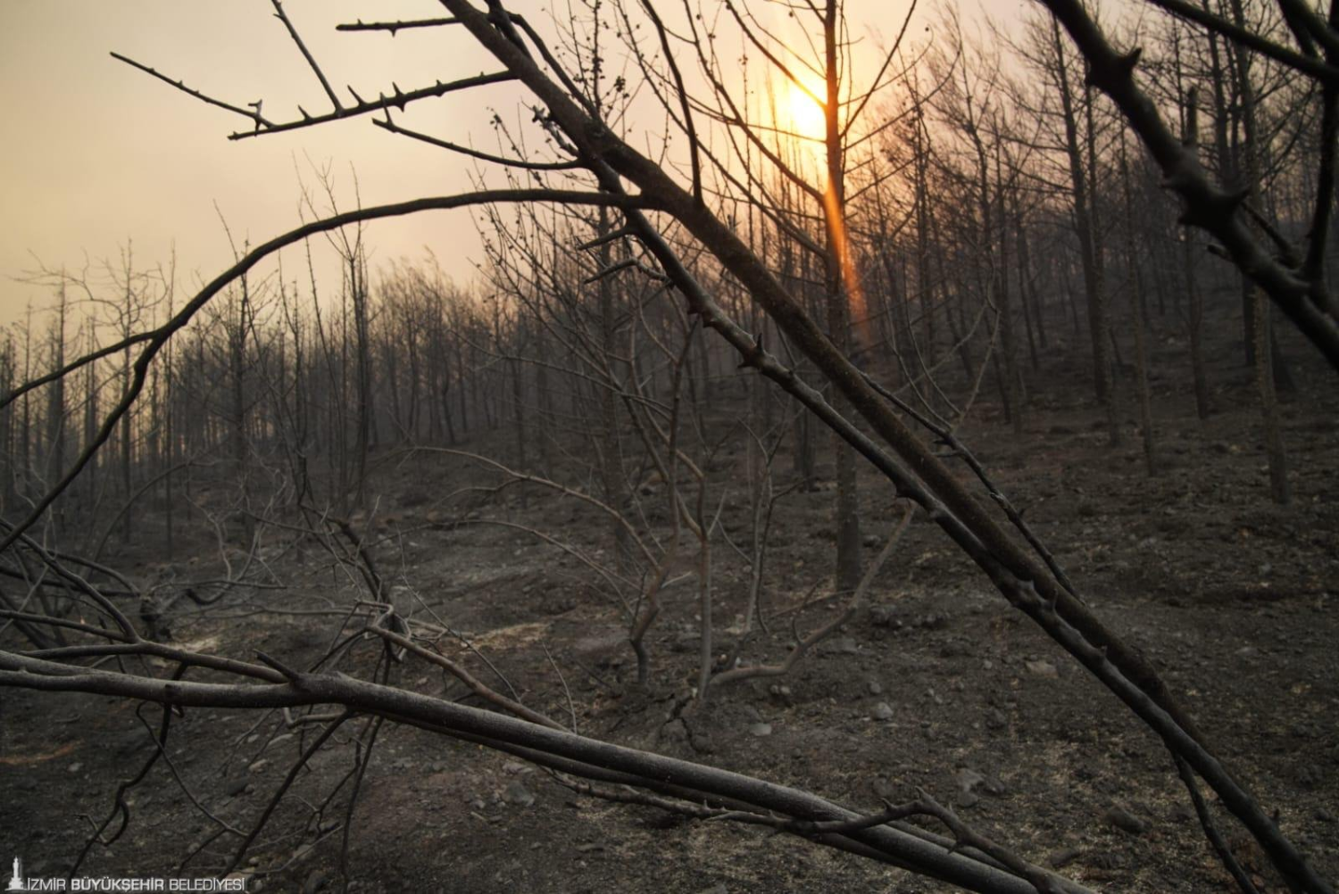 Urla’da yangın kontrol altına alındı